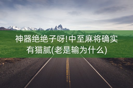 神器绝绝子呀!中至麻将确实有猫腻(老是输为什么)