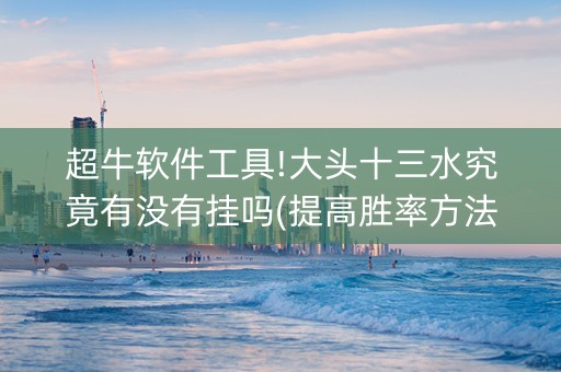 超牛软件工具!大头十三水究竟有没有挂吗(提高胜率方法)