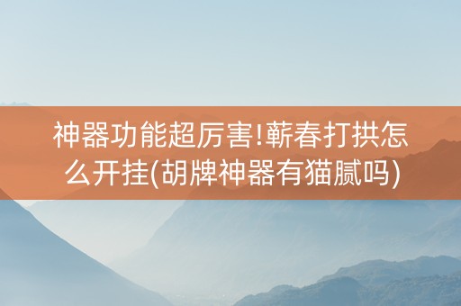 神器功能超厉害!蕲春打拱怎么开挂(胡牌神器有猫腻吗)