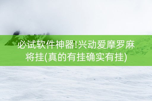 必试软件神器!兴动爱摩罗麻将挂(真的有挂确实有挂)