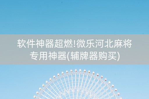 软件神器超燃!微乐河北麻将专用神器(辅牌器购买)