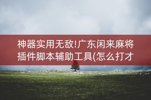 神器实用无敌!广东闲来麻将插件脚本辅助工具(怎么打才赢)