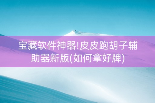 宝藏软件神器!皮皮跑胡子辅助器新版(如何拿好牌)