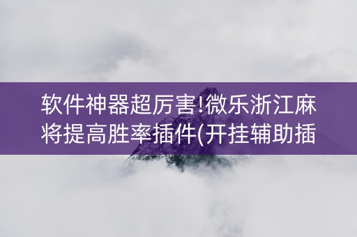 软件神器超厉害!微乐浙江麻将提高胜率插件(开挂辅助插件)