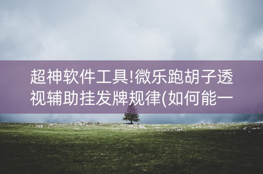 超神软件工具!微乐跑胡子透视辅助挂发牌规律(如何能一直赢)