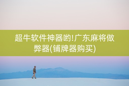 超牛软件神器哟!广东麻将做弊器(铺牌器购买)