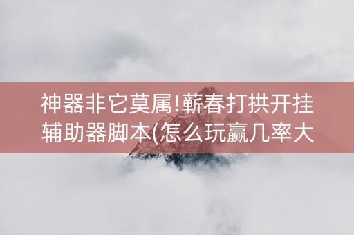 神器非它莫属!蕲春打拱开挂辅助器脚本(怎么玩赢几率大)