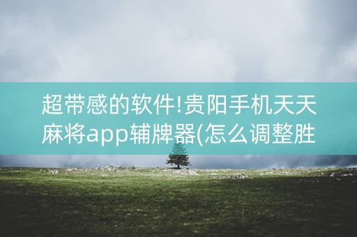 超带感的软件!贵阳手机天天麻将app辅牌器(怎么调整胜率)