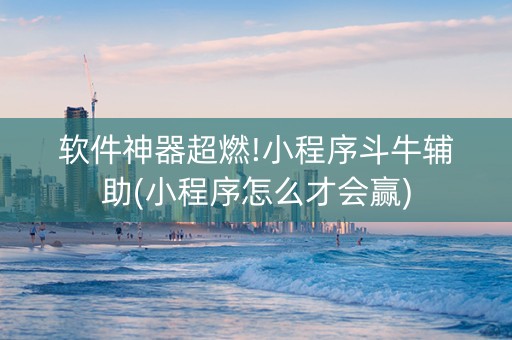 软件神器超燃!小程序斗牛辅助(小程序怎么才会赢)