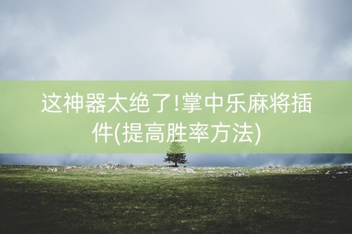 这神器太绝了!掌中乐麻将插件(提高胜率方法)
