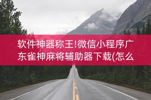 软件神器称王!微信小程序广东雀神麻将辅助器下载(怎么才有好牌)