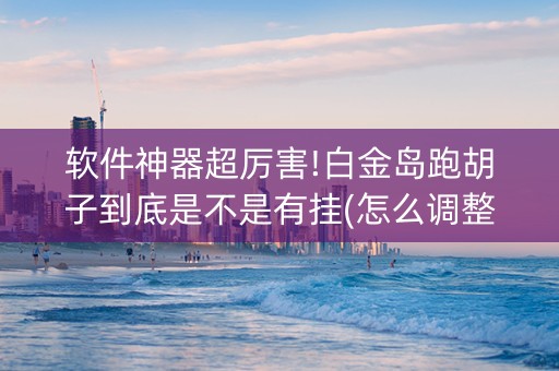 软件神器超厉害!白金岛跑胡子到底是不是有挂(怎么调整胜率)