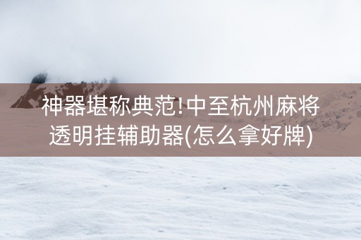 神器堪称典范!中至杭州麻将透明挂辅助器(怎么拿好牌)