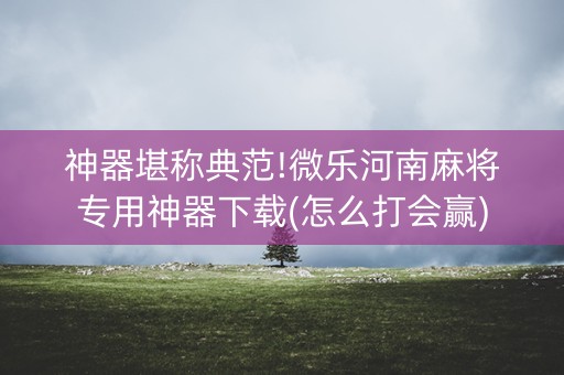 神器堪称典范!微乐河南麻将专用神器下载(怎么打会赢)