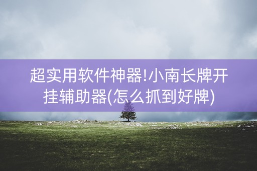 超实用软件神器!小南长牌开挂辅助器(怎么抓到好牌)