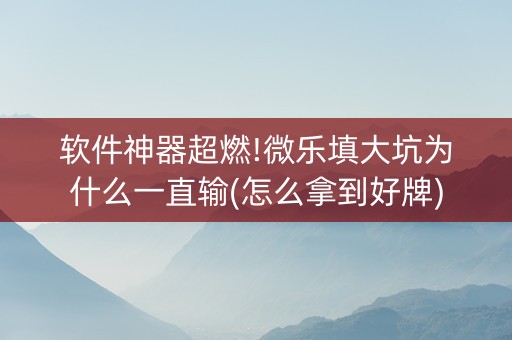 软件神器超燃!微乐填大坑为什么一直输(怎么拿到好牌)