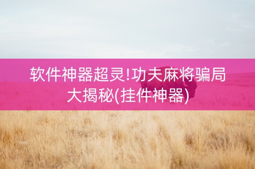 软件神器超灵!功夫麻将骗局大揭秘(挂件神器)