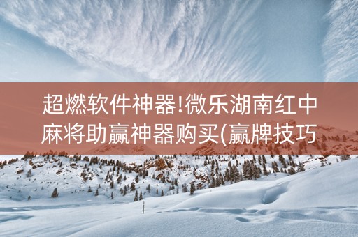 超燃软件神器!微乐湖南红中麻将助赢神器购买(赢牌技巧插件安装)