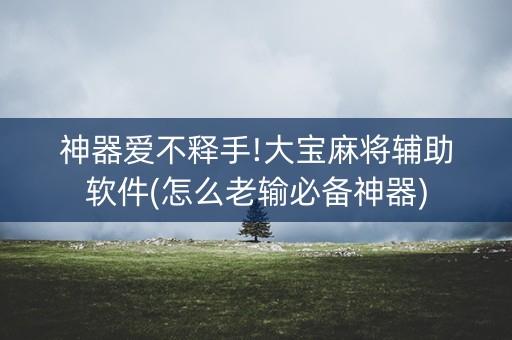 神器爱不释手!大宝麻将辅助软件(怎么老输必备神器)