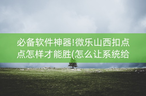必备软件神器!微乐山西扣点点怎样才能胜(怎么让系统给好牌)