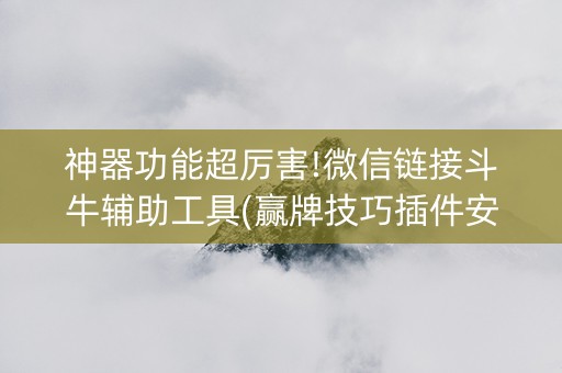 神器功能超厉害!微信链接斗牛辅助工具(赢牌技巧插件安装)