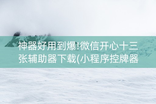 神器好用到爆!微信开心十三张辅助器下载(小程序控牌器)