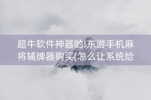 超牛软件神器哟!东游手机麻将辅牌器购买(怎么让系统给自己好牌)