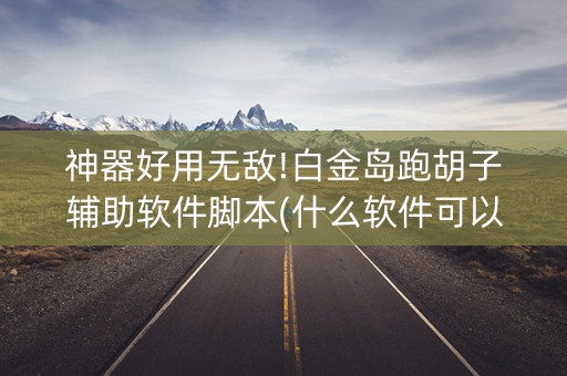 神器好用无敌!白金岛跑胡子辅助软件脚本(什么软件可以赢)