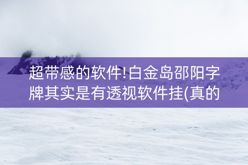 超带感的软件!白金岛邵阳字牌其实是有透视软件挂(真的确实是有挂)