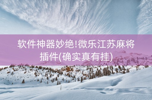 软件神器妙绝!微乐江苏麻将插件(确实真有挂)