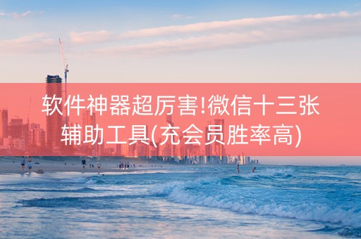软件神器超厉害!微信十三张辅助工具(充会员胜率高)