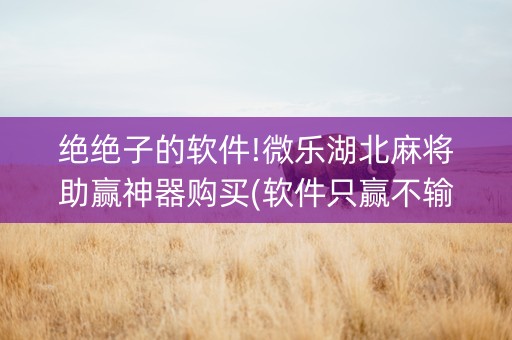 绝绝子的软件!微乐湖北麻将助赢神器购买(软件只赢不输)
