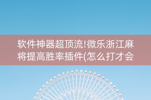 软件神器超顶流!微乐浙江麻将提高胜率插件(怎么打才会赢)