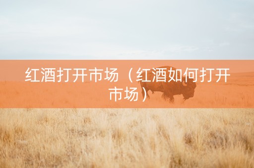 红酒打开市场（红酒如何打开市场）