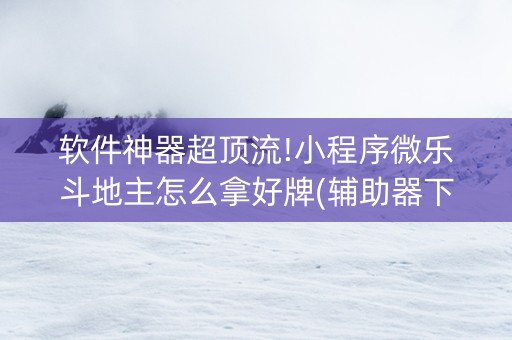 软件神器超顶流!小程序微乐斗地主怎么拿好牌(辅助器下载)