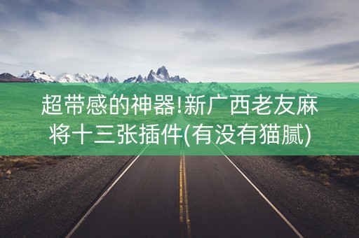超带感的神器!新广西老友麻将十三张插件(有没有猫腻)