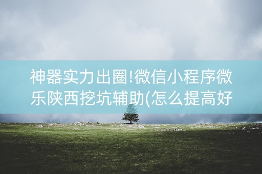 神器实力出圈!微信小程序微乐陕西挖坑辅助(怎么提高好牌几率)