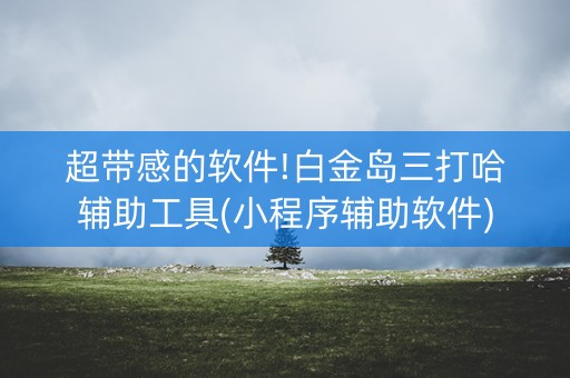 超带感的软件!白金岛三打哈辅助工具(小程序辅助软件)
