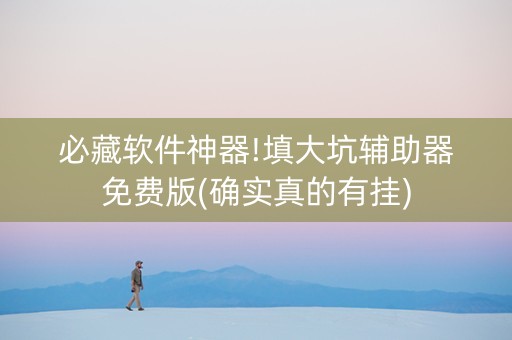必藏软件神器!填大坑辅助器免费版(确实真的有挂)