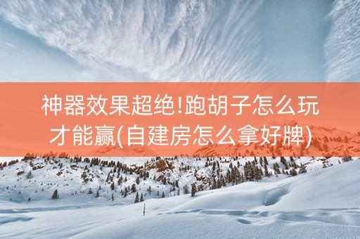 神器效果超绝!跑胡子怎么玩才能赢(自建房怎么拿好牌)