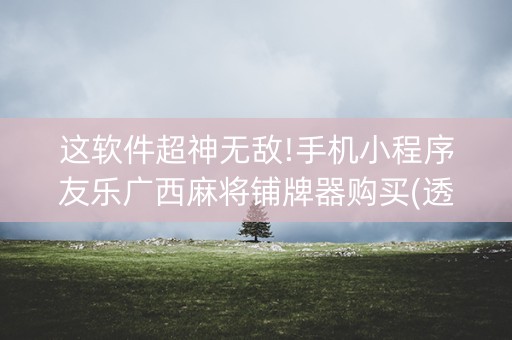 这软件超神无敌!手机小程序友乐广西麻将铺牌器购买(透明挂辅助器)