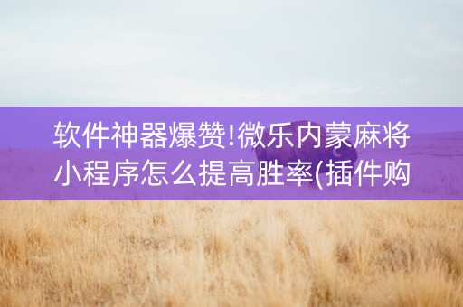 软件神器爆赞!微乐内蒙麻将小程序怎么提高胜率(插件购买输赢规律)