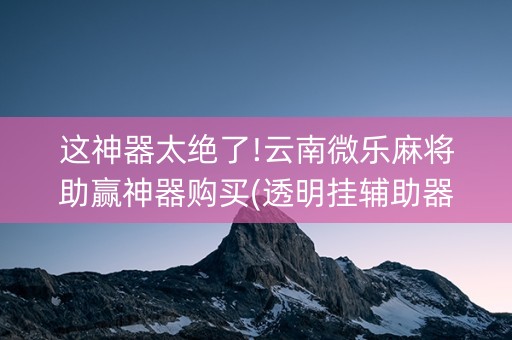 这神器太绝了!云南微乐麻将助赢神器购买(透明挂辅助器)