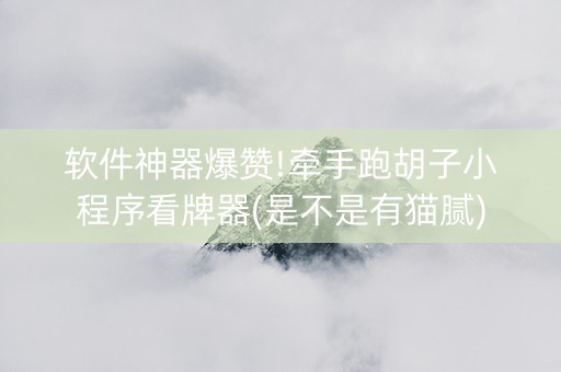软件神器爆赞!牵手跑胡子小程序看牌器(是不是有猫腻)