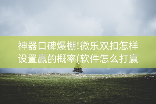 神器口碑爆棚!微乐双扣怎样设置赢的概率(软件怎么打赢)