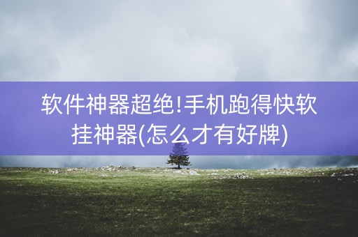 软件神器超绝!手机跑得快软挂神器(怎么才有好牌)