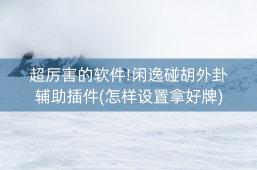 超厉害的软件!闲逸碰胡外卦辅助插件(怎样设置拿好牌)