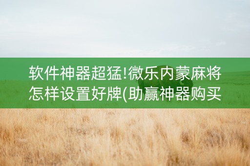软件神器超猛!微乐内蒙麻将怎样设置好牌(助赢神器购买)