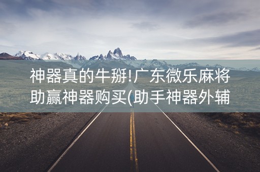 神器真的牛掰!广东微乐麻将助赢神器购买(助手神器外辅工具)
