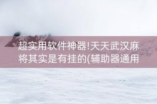 超实用软件神器!天天武汉麻将其实是有挂的(辅助器通用版)